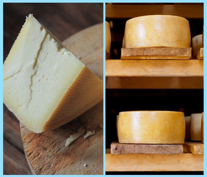 Paški sir – Pag cheese  