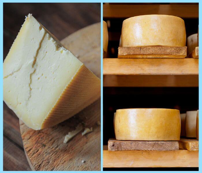 Pa&scaron;ki sir &ndash; Pag cheese  
